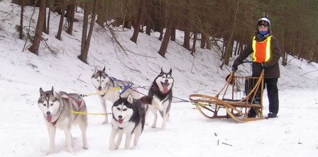 Dog Sledding