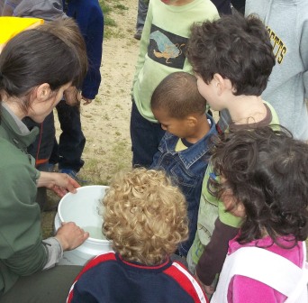Looking at a herring in 2012