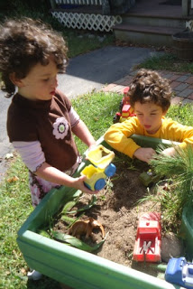 Elephant week habitat with cars