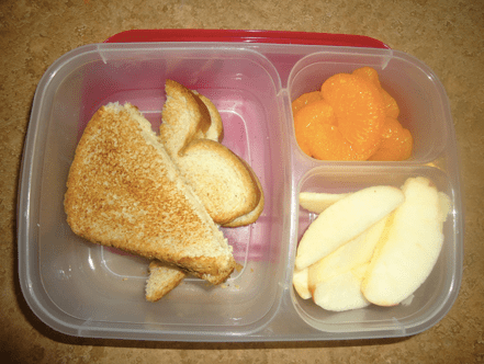 Grilled cheese, oranges and apple slices