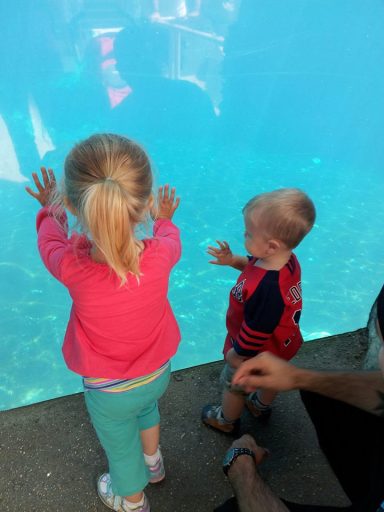 Having fun at Mystic Aquarium!