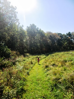 Great River Preserve