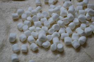 Peanut Butter and Marshmallow Roll