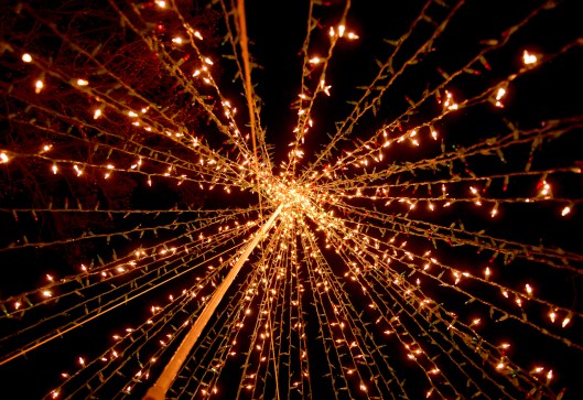 ph-tt-B-holiday-hoesch-lights