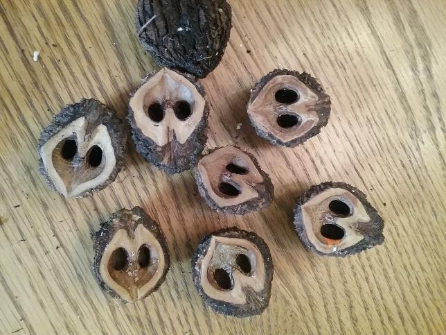 owl nuts for small treasures signature mommyblog