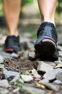 trail-walking-PFSK4DB.jpg