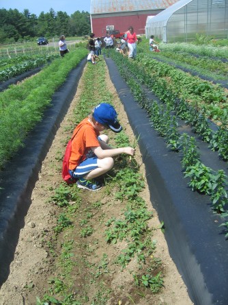Stonehill farm trip campfire june  pix 073.JPG