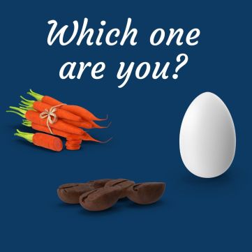 carrot, egg, coffee bean.jpg